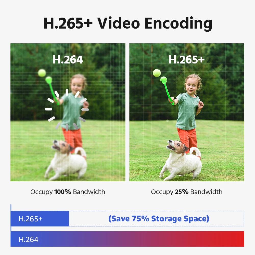 ANNKE Ultra HD 4K Security Camera 180 Degrees Panoramic Dual Lens IP Camera 8CH POE NVR 2/4 PCS 8MP surveillance cameras kit